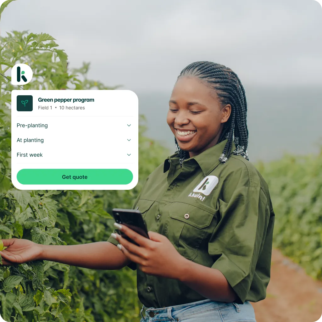 A farmer in a green pepper field, checking her program in the Khula Inputs app